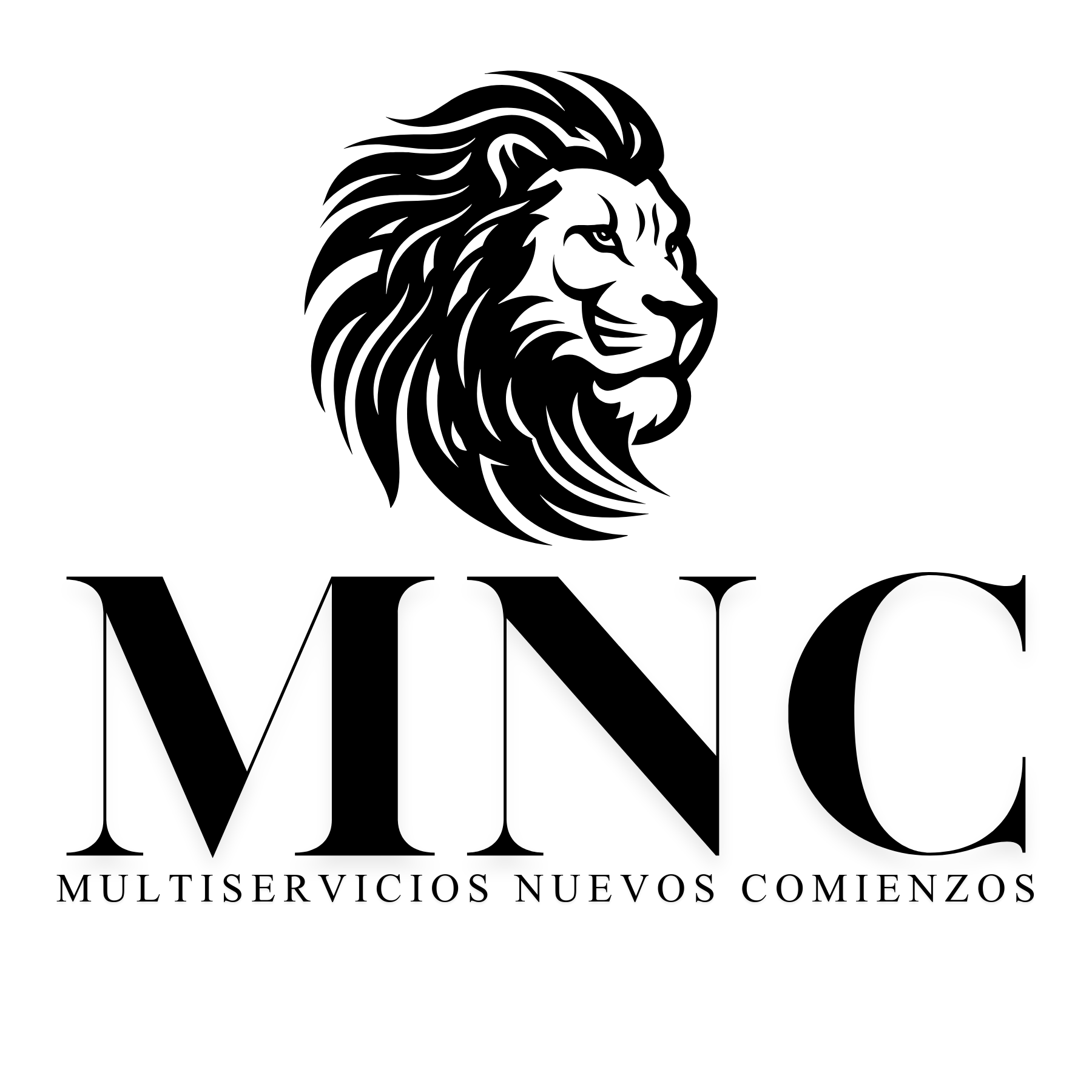 MULTISERVICIOS NUEVOS COMIENZOS